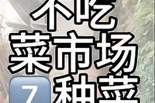 开云app官网下载体育版本截图2